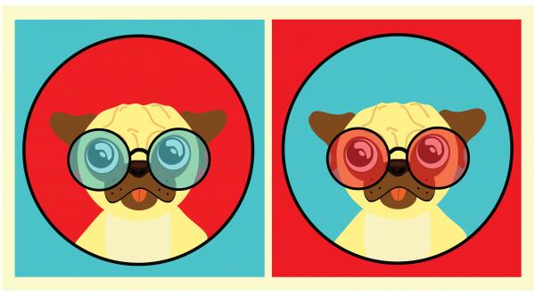 pugs red and blue by K  Ambing